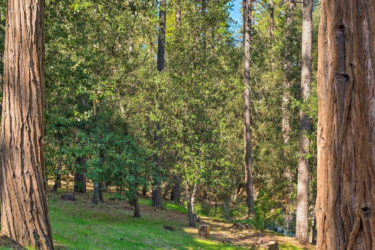 Convenient Apt With Fire Pit About Half-Mi To Lake! Groveland Exterior photo